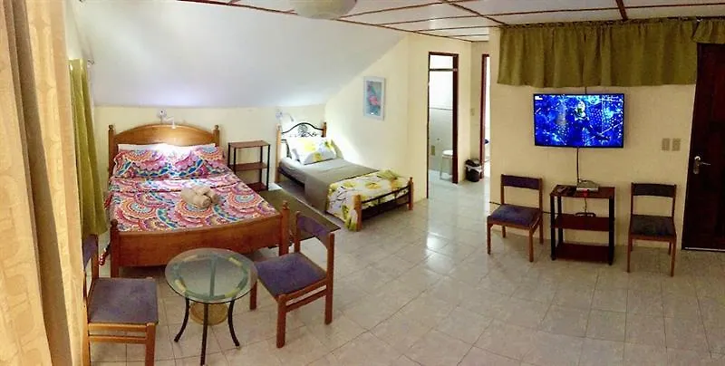 *** 酒店 Johan'S Beach And Dive Resort 苏比克 菲律宾